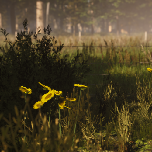 Screenshot_2.23